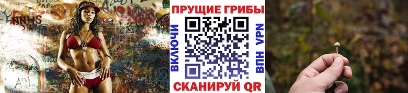 Купить  Сретенск  Псилоцибиновые грибы Cubensis 